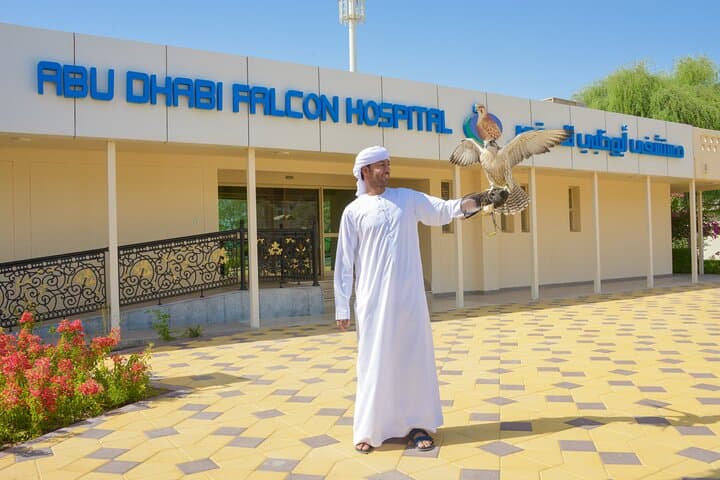Inside Abu Dhabi: Sheikh Zayed Grand Mosque & Falcon Hospital Half-Day Tour