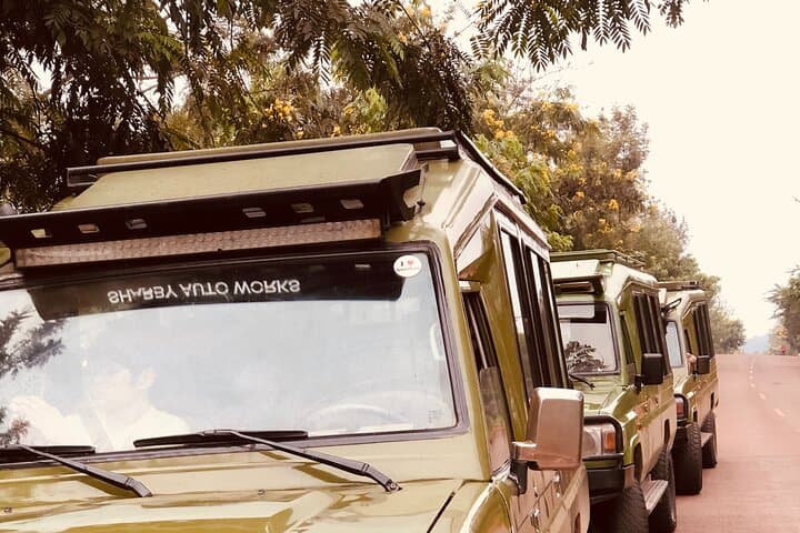 8-Day Rwanda Small-Group Safari: Gorillas, Golden Monkeys & Nyungwe Canopy photo 5