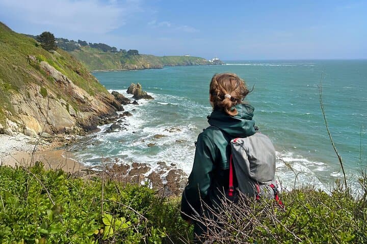 Howth Safari: South-Facing Cliff Hike Over Dublin Bay