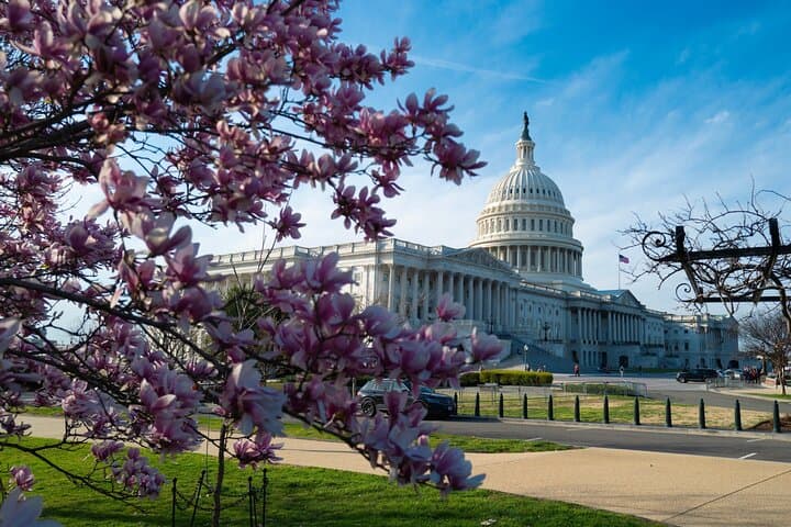 Washington DC Downtown & White House Private Walking Tour — History, Landmarks & Practical Tips photo 4