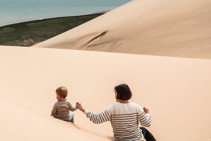 Sandwich Harbour Day Trip: Budget Coastal Dune Safari from Walvis Bay photo 5