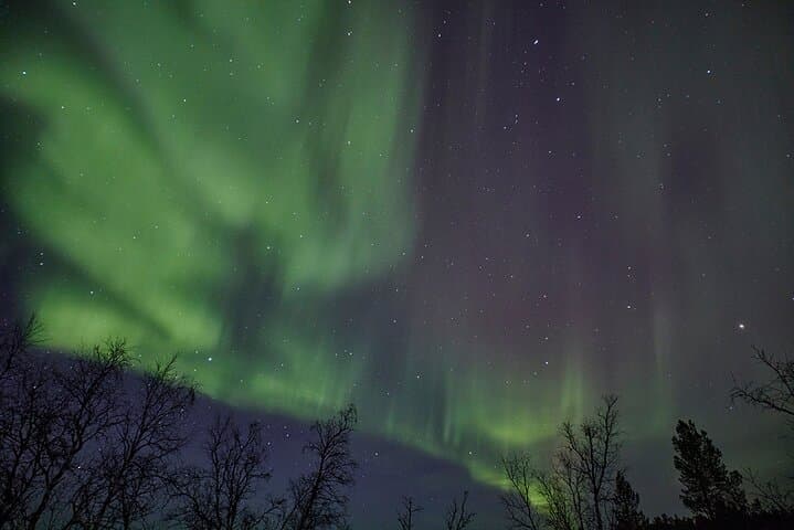 Abisko Aurora Tour with Sami Dinner: Northern Lights Evening from Kiruna photo 4
