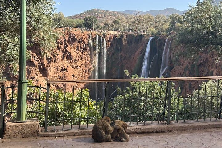 Day Trip to Ouzoud Waterfalls from Marrakech — Private Excursion & Boat Ride photo 4