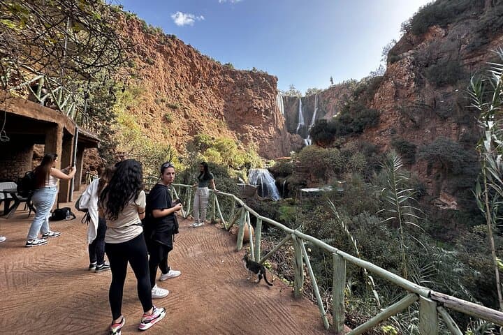 Day Trip to Ouzoud Waterfalls from Marrakech — Private Excursion & Boat Ride photo 6