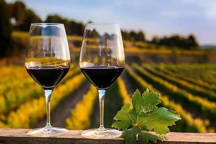 Douro Wine Tasting Tour: Torre de Moncorvo, Sabor River & UNESCO Vineyards