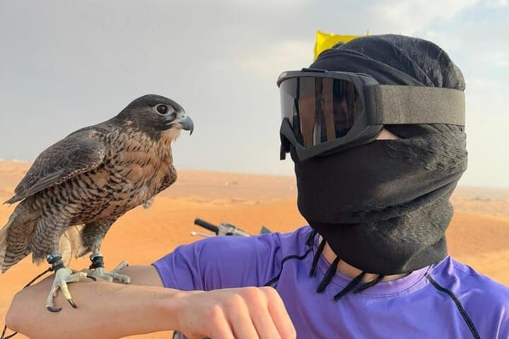Lahbab Desert Safari: Dune Bashing, Camel Rides & Bedouin Camp Experience photo 5