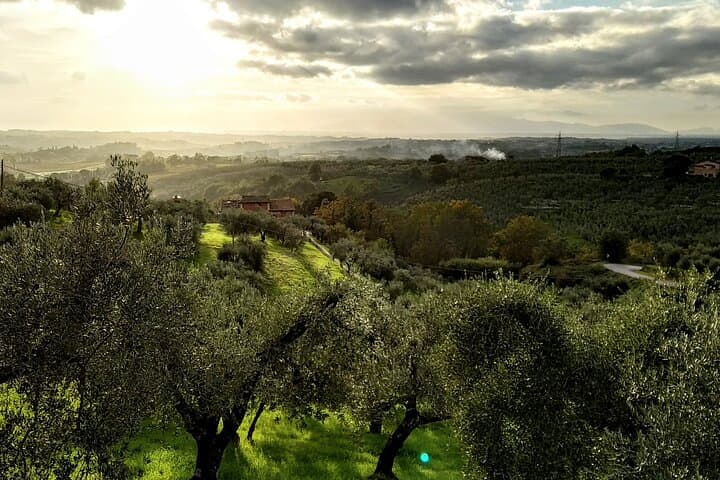 Mountain Biking the Pistoia Hills: Tuscan Trails from Lucca photo 2