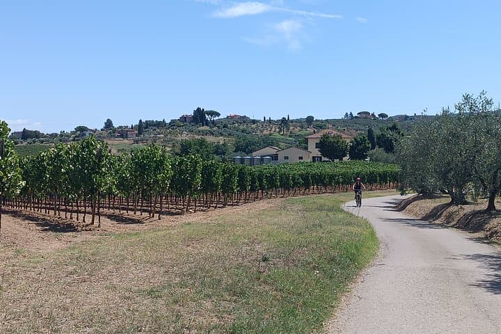 Mountain Biking the Pistoia Hills: Tuscan Trails from Lucca photo 3