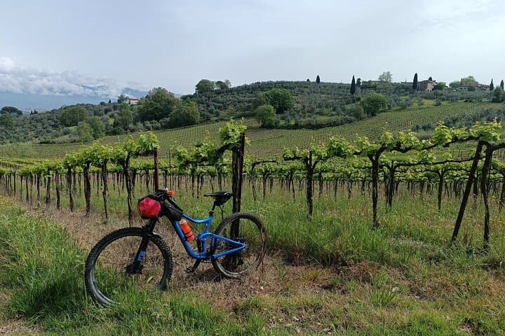 Mountain Biking the Pistoia Hills: Tuscan Trails from Lucca