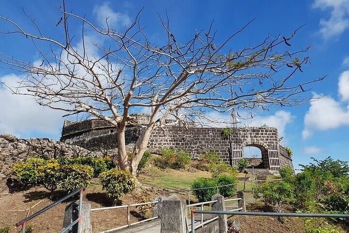 Waterfall and Fort Adventure in Grenada: Mount Carmel Falls & Fort Frederick with Lunch photo 5