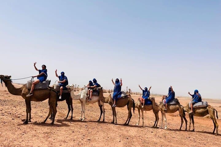 Camel Ride in Marrakech Palmeraie: 2‑Hour Dromedary Trek & Mint Tea photo 5