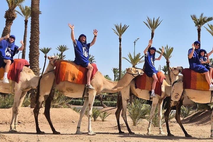 Camel Ride in Marrakech Palmeraie: 2‑Hour Dromedary Trek & Mint Tea photo 6