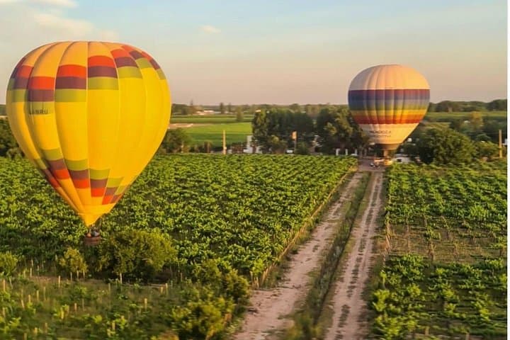 Sunset Hot Air Balloon Ride Over Mendoza Vineyards with Wine Toast photo 1