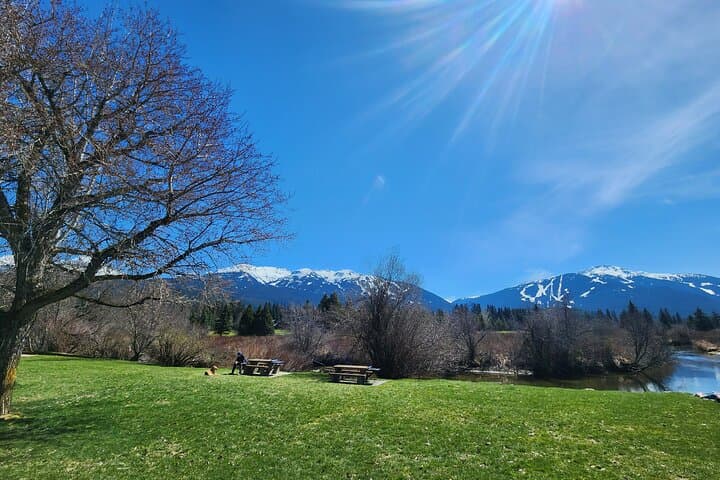 Whistler Scenic Valley E-Bike Tour — Class 1 Mountain E‑Bike Ride photo 2