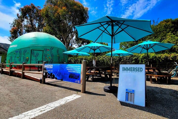 Immersed 360° Ocean Dome Experience on Catalina Island photo 2