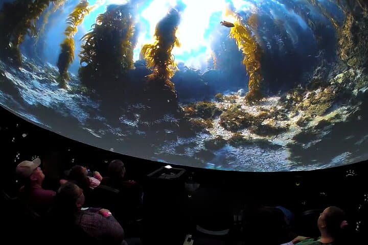 Immersed 360° Ocean Dome Experience on Catalina Island photo 4
