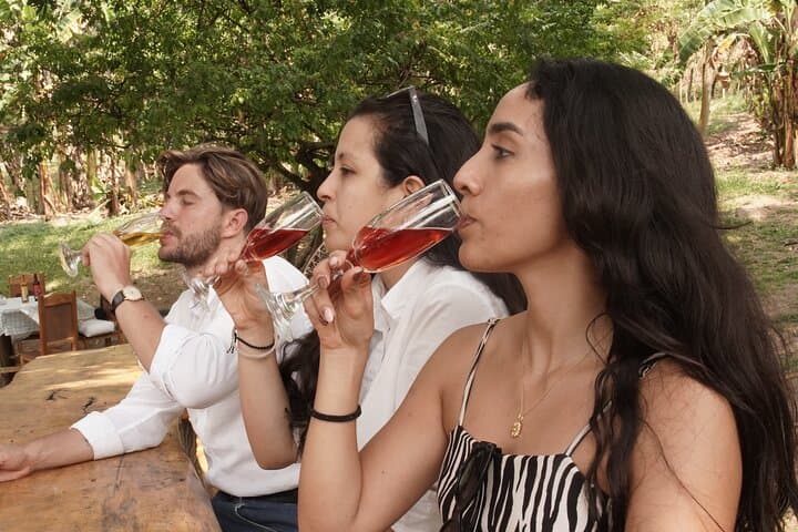 Wine in the Wild: Sunset UTV Wine Tasting & Conservation at Cerro El Peligro photo 2