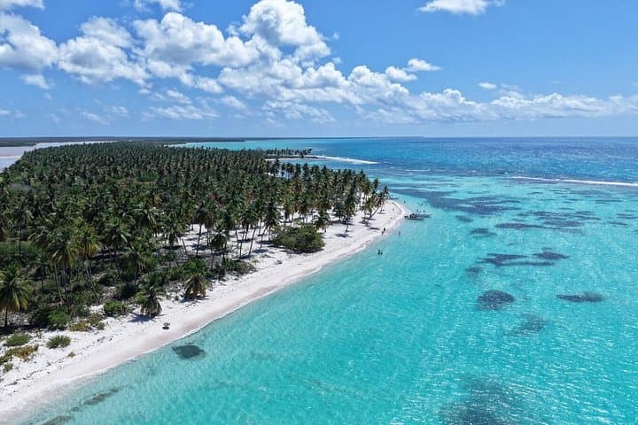 Saona Island Premium Discovery Tour — VIP Speedboat, Snorkel & Natural Pool photo 1