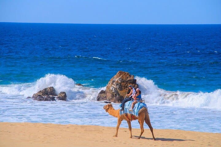 Los Cabos Maverick & RZR Beach and Desert Off‑Road Adventure photo 6