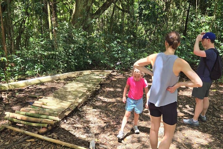 Half-Day St. Kitts Rainforest Hike — Waterfalls, Vervet Monkeys & Mount Views photo 2