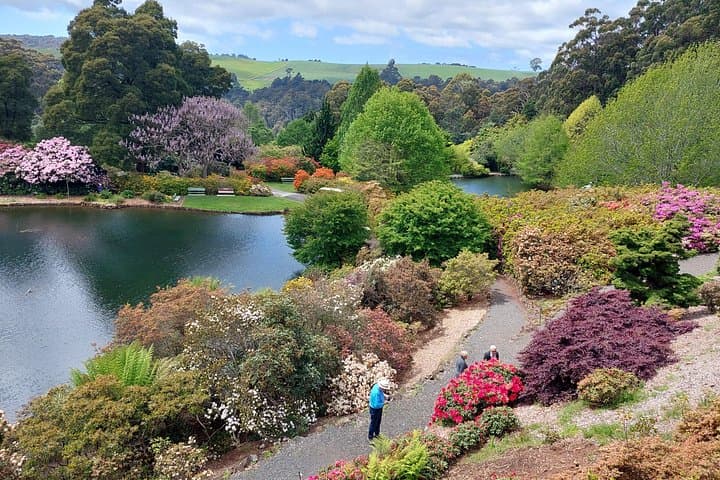 Discovering Tasmania: Burnie Shore Excursion — Emu Valley Gardens & Wings Wildlife Park Day Trip photo 3