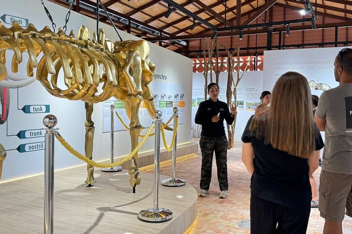Koh Samui Elephant Home Sanctuary and First Elephant Museum — Ethical Jungle Walk & Seed-Bomb Conservation photo 3