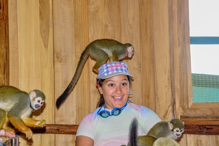 Punta Cana Monkey Sanctuary, Cenote & Plantation Tour — Coffee, Monkeys & a Cool Swim photo 6