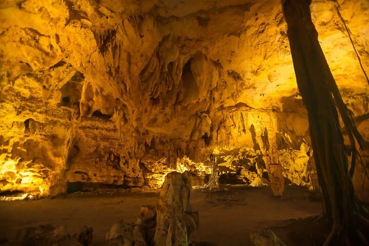 Punta Cana Cenote Swim, Cave Exploration & Plantation Tour photo 6
