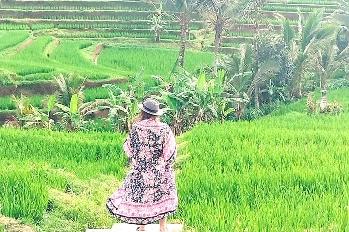 Jatiluwih Rice Terraces & Bali Jungle Swing Day Tour photo 3