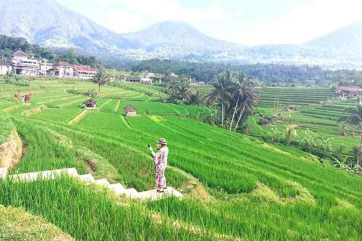 Jatiluwih Rice Terraces & Bali Jungle Swing Day Tour photo 2