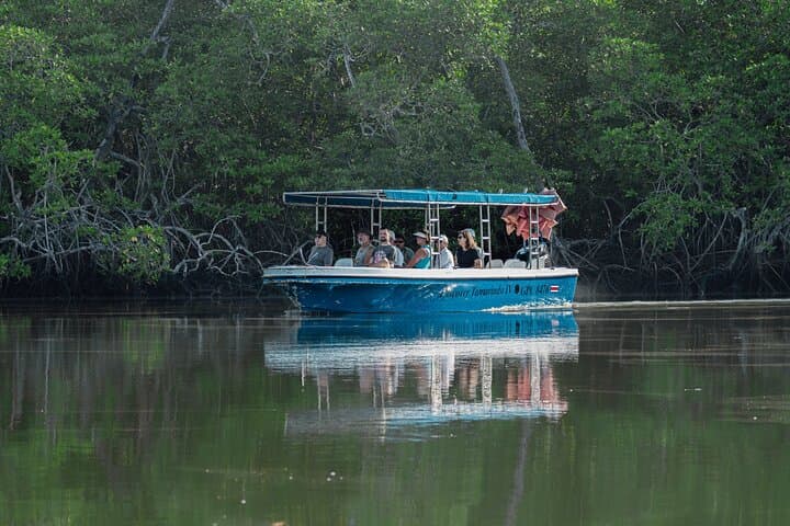 Tamarindo Estuary Boat Tour: Mangrove Wildlife Cruise in Las Baulas Marine Park