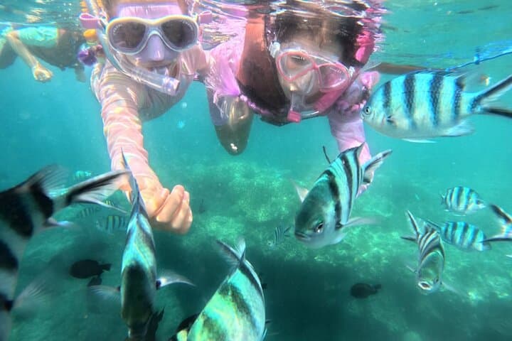 Snorkel Blue Lagoon & Tanjung Jepun: All-Inclusive Bali Reef Adventure photo 2