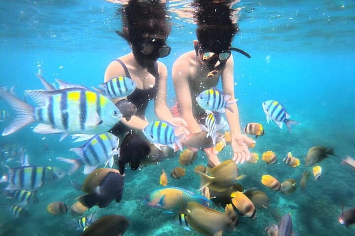 Snorkel Blue Lagoon & Tanjung Jepun: All-Inclusive Bali Reef Adventure photo 3
