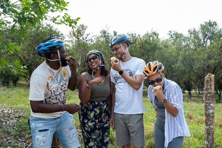 E‑Bike Ride and Appleton Rum Tasting at Good Hope Estate