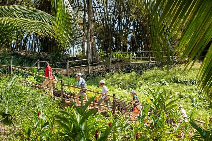 Good Hope Jungle Zipline & Appleton Estate Rum Tasting — Chukka Adventure Near Montego Bay photo 4