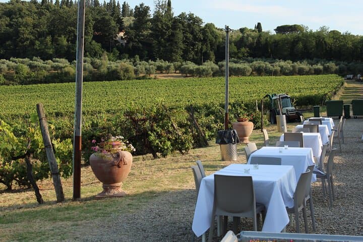 Immersive Tuscan Winery Experience from Florence: Vineyard Tour, Cellar Tech & Tasting