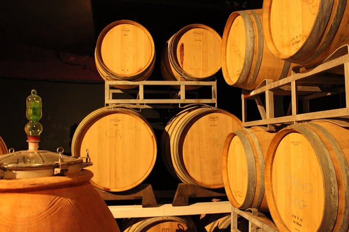 Immersive Tuscan Winery Experience from Florence: Vineyard Tour, Cellar Tech & Tasting photo 4