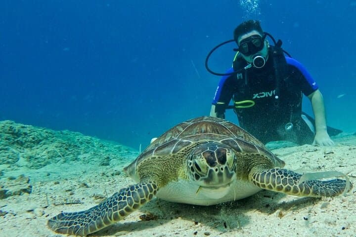 Discover Scuba Diving in Protaras: 2 Beginner Dives at Green Bay (Turtle Bay)