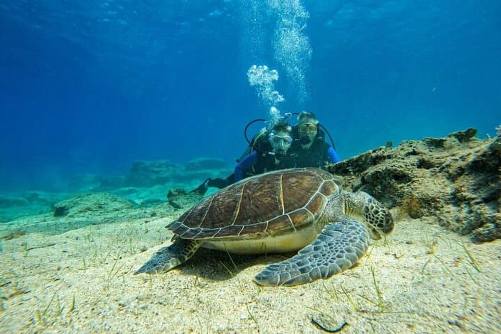 Discover Scuba Diving in Protaras: 2 Beginner Dives at Green Bay (Turtle Bay) photo 3