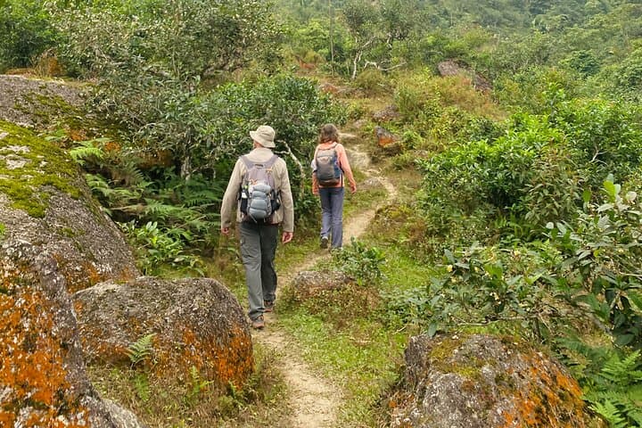 Ha Giang One-Day Trek: Tay & Dao Village Hike Through Terraced Fields photo 2