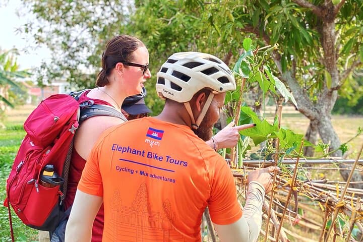 Morning Countryside Bike Tour Siem Reap — Villages, Markets & Rice Fields photo 4