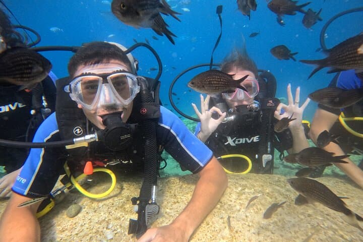 Scuba Diving at Turtle Bay, Protaras: Intro Dives with Underwater Photos photo 4