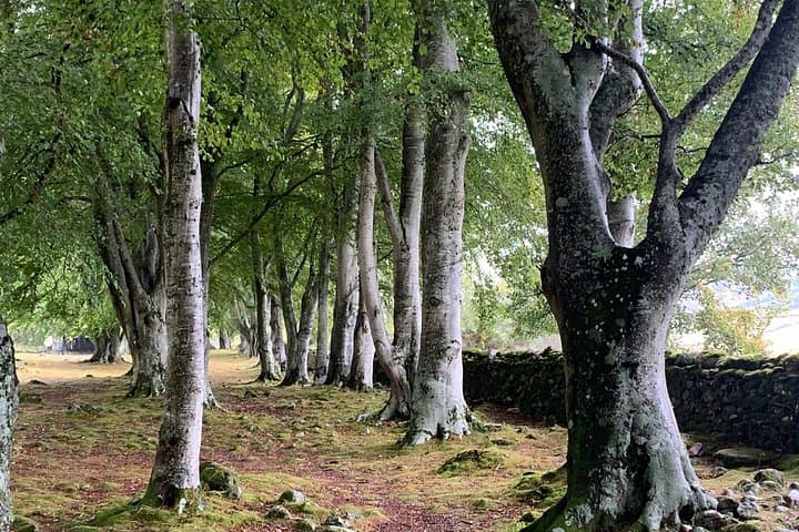 Invergordon to Loch Ness: Cawdor Castle, Distillery Visit & Urquhart Ruins Small-Group Tour photo 3