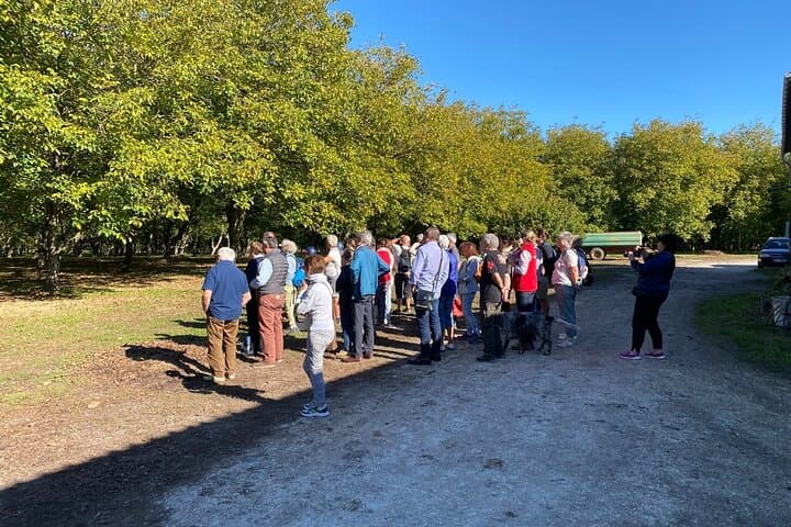 Walnut grove tasting and private farm visit near Cognac photo 3