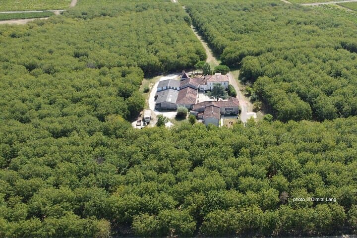 Walnut grove tasting and private farm visit near Cognac photo 2