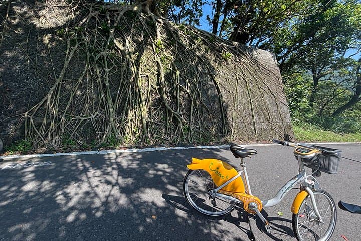 Ruifang to Houtong: Cycling the Old Mining Road and Cat Village photo 3