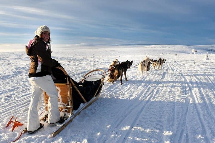 Overnight Dogsledding in Sälen: 48‑Hour Wilderness Cabin & Tent Adventure