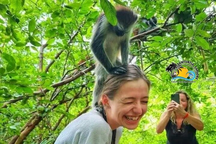 Jozani Forest & The Rock Restaurant: Monkeys, Mangroves, and Ocean Lunch photo 2