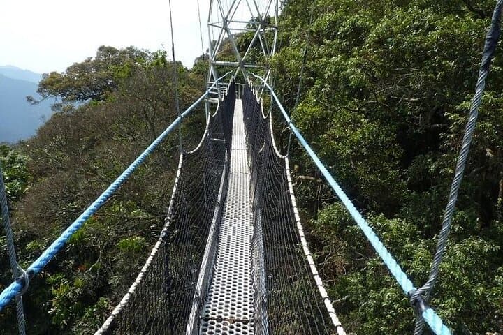 8-Day Remarkable Rwanda Safari: Gorillas, Akagera Game Drives & Nyungwe Canopy Walk photo 4