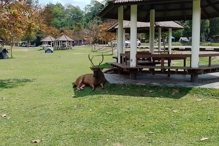 Khao Yai Full-Day Private Hike: Viewpoints, Wildlife & Haew Suwat Waterfall photo 5